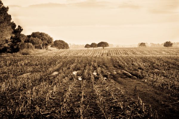 Alentejo