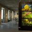 Exhibition view 2