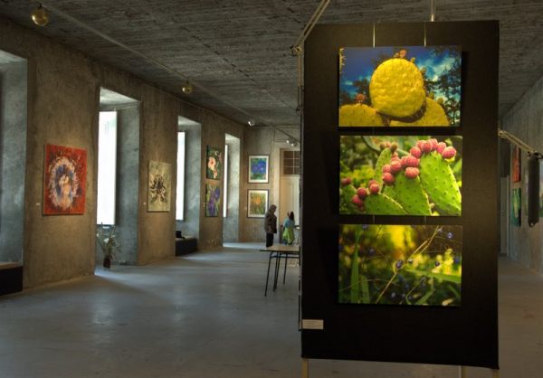 Exhibition view 2