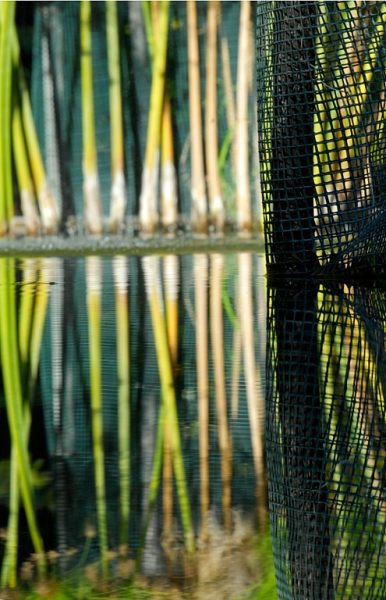 Symphony in green (1 of 5-image set 50x145cm)