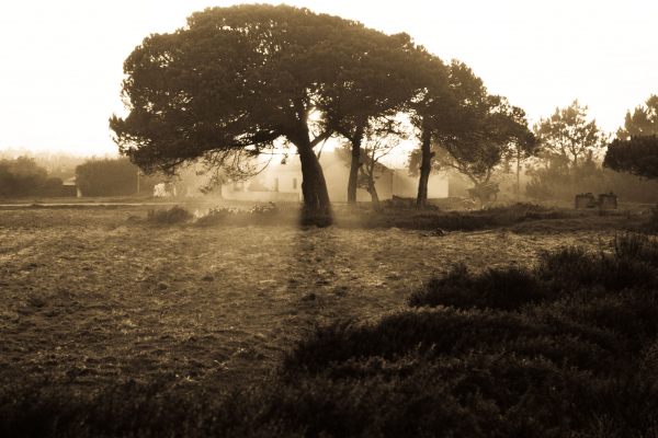 Alentejo