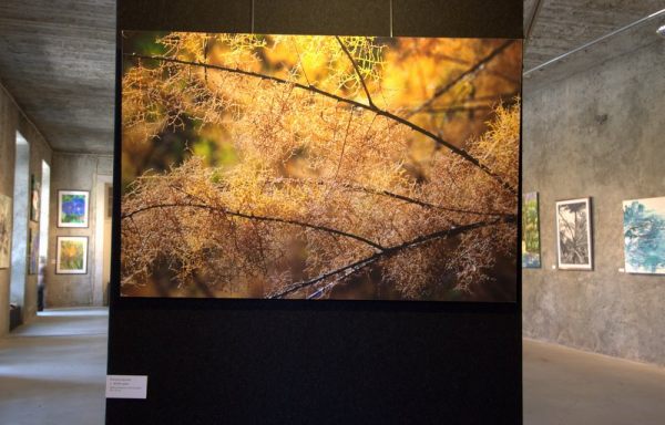 Exhibition view 3