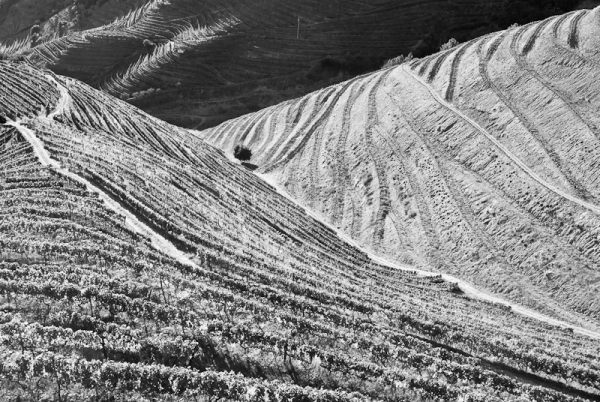 Douro