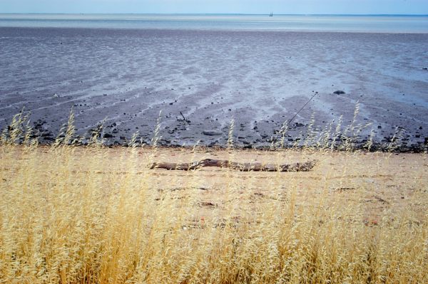 O Rio Tejo