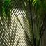 Symphony in green (2 of 5-image set 50x145cm)