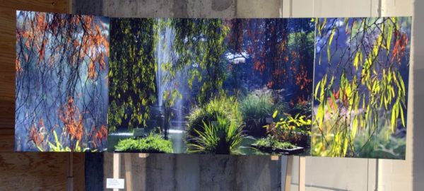 Autumn screens